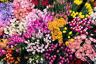 第三人称塔防游戏《罗宾汉：舍伍德卫士》Steam页面 发售日待定