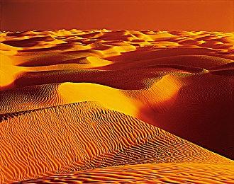 《审判之逝》本地化总监：剧情里涉及很多创伤